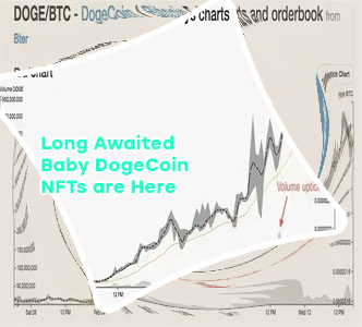Baby dogecoin price chart
