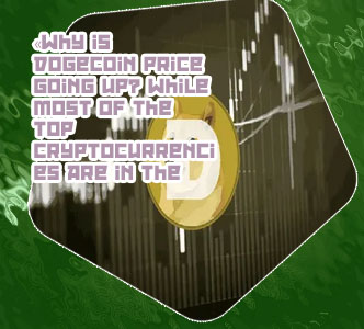 Doge bitcoin price