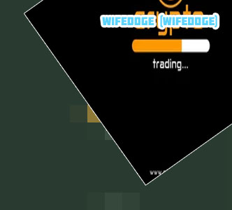 Wifedoge cryptocurrency